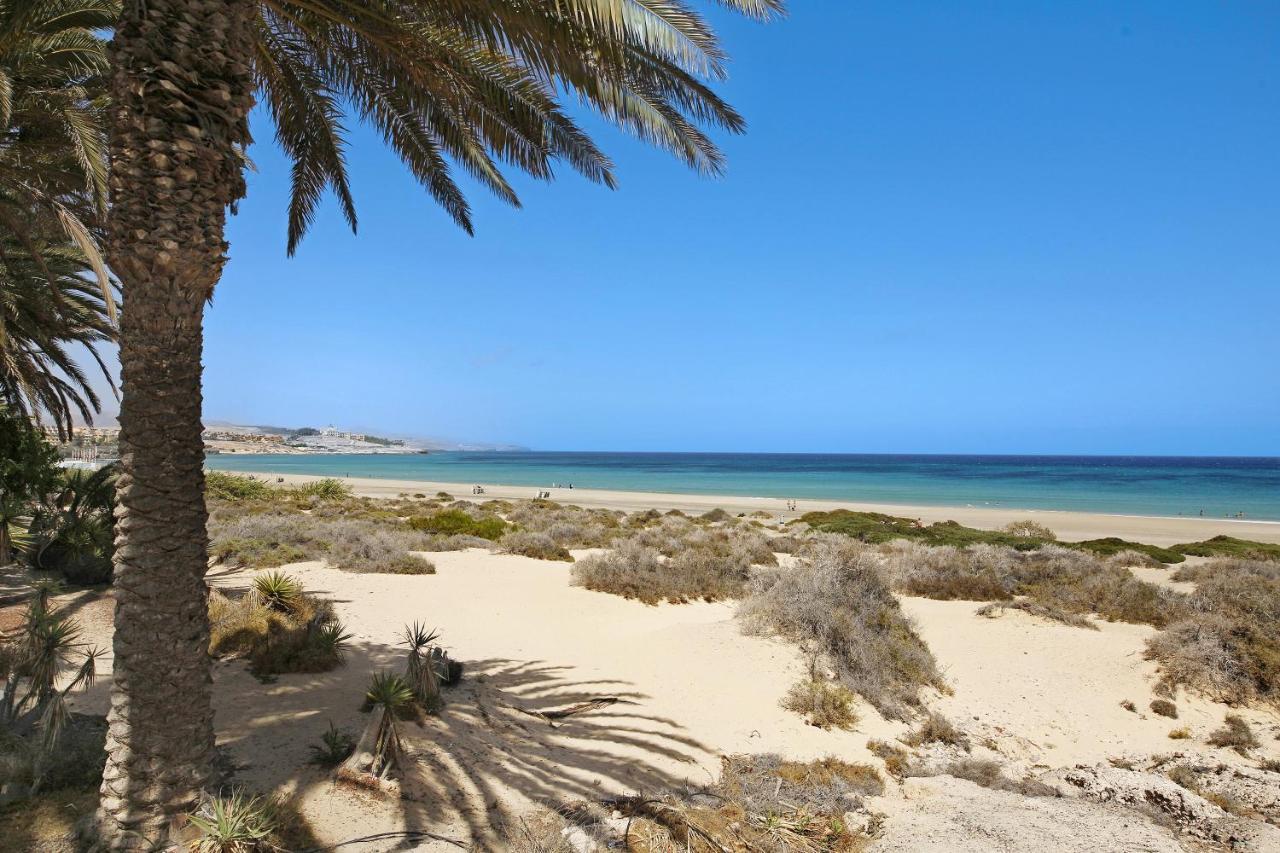 Bahia Vista Leilighet Costa Calma Eksteriør bilde